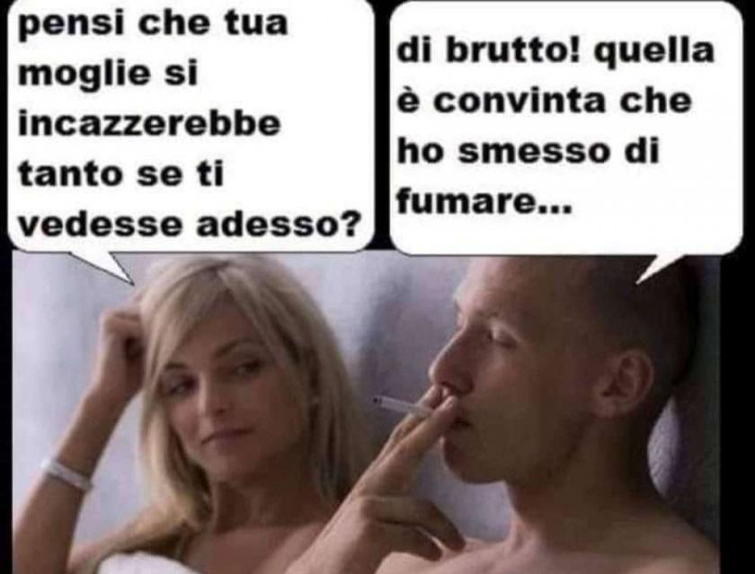 Immagine Allegata