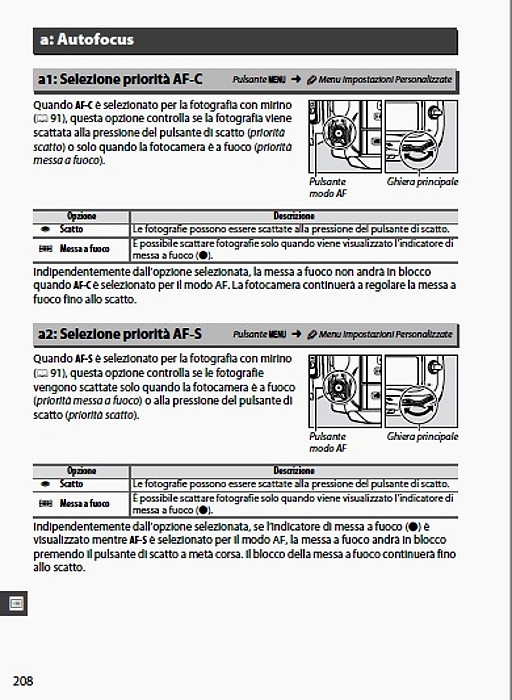 Immagine Allegata