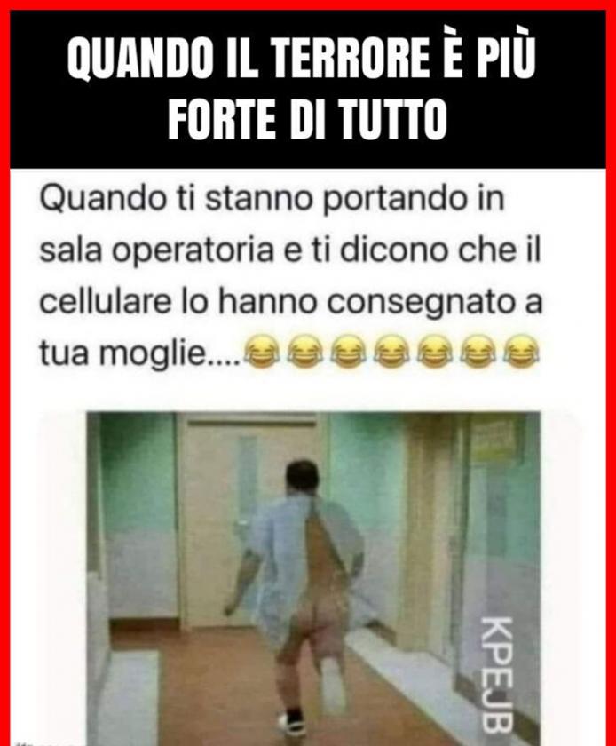 Immagine Allegata