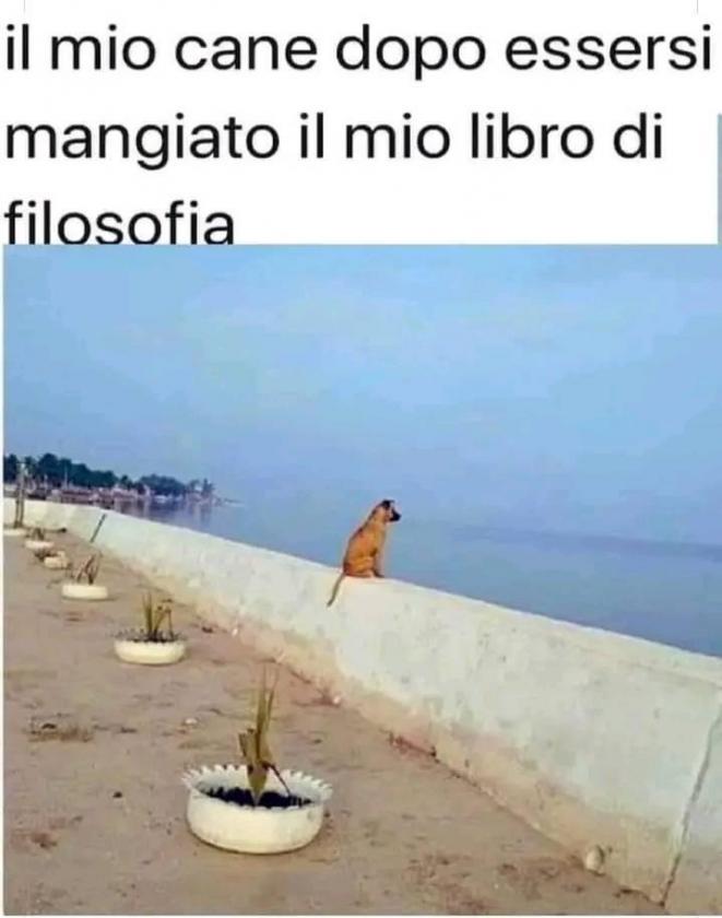 Immagine Allegata