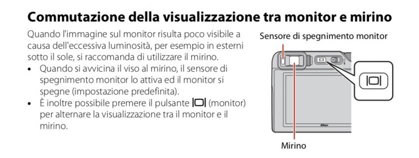 Immagine Allegata