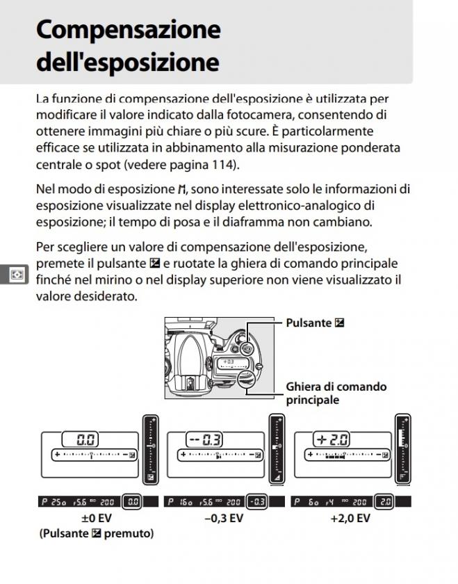 Immagine Allegata