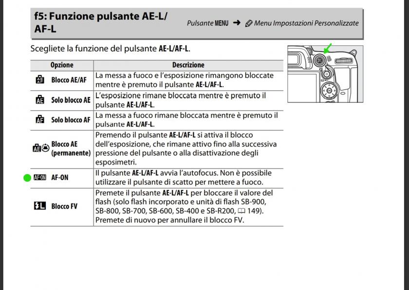 Immagine Allegata