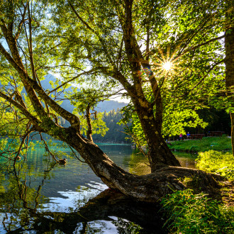 Laghi Di Fusine